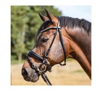 Bridle Kavalkade Ayana KavalSH4
