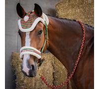 Bridle, lead rope and fly mask for horse Harry's Horse Christmas