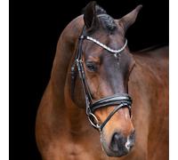 Imperial Riding IRH Olympia Bridle without Reins, Anatomical Headpiece, Calfskin Padding, Forehead & Noseband with Rhinestones, Premium Buffalo Leather, Stainless Steel Fittings, Black/Silver, Pony