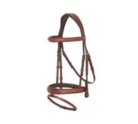 Bridles LeMieux Kudos Flash