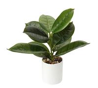 Briful 12.2" Artificial Plants Fake Plants Home Décor Tropical Faux Oak Leaf Arrangement in Pot for Home Garden Office Desk Shower Room Decoration