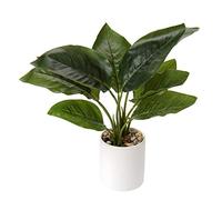 Briful 12.5" Fake Plants Artificial Canna in Ceramic Pot for Indoor Décor