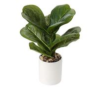 Briful 12.5" Fake Plants Artificial Ficus in Ceramic Pot for Home Décor