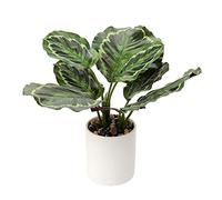 Briful 12.5" Fake Plants Artificial Plants Indoor Tropical Faux Banana Leaf Arrangement in Pot for Home Garden Office Desk Shower Room Decoration