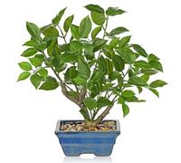 Briful 15.3" Artificial Ficus Fake Plants in Blue Ceramic Pot, 39cm Green Ficus Bonsai Tree Faux Plants, Artificial Plants Indoor Small Artificial Ficus Tree for Home Office Decor