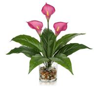 Briful 15.4" Fuchsia Calla Lily Artificial Flowers in Glass Vase with Pebbles, 39cm Tall Artificial Lilies Real Touch Flowers - Decorative Artificial Plants for Living Room, Bathroom Decor