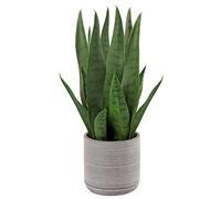 Briful 15.7" Artificial Snake Plant Fake Sansevieria Plants in Cement Pot | 40CM Artificial Sansevieria Faux Indoor Plant in Pot for Bathroom Bedroom Home Office Tabletop Decoration