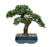 Briful 16.1" Artificial Bonsai Tree Large Fake Plants Podocarpus Bonsai Decoration, Tall Artificial Plants Indoor in Ceramic Pot Faux Indoor Plants for Home Office Desk Decor