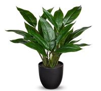Briful 16.9" Artificial Plants in Pot Calathea Makoyana Fake Plants, Decorative Artificial Indoor Plants Maranta Faux Potted Plants for Home Office Bedroom Decor, Height 43CM, Dark Green
