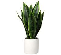 Briful 16" Artificial Snake Plant Fake Sansevieria Plants in Ceramic Pot | 40.6CM Artificial Sansevieria Faux Indoor Plants in White Ceraimc Pot, Fake Plant for Bathroom Shelf Home Office Decor