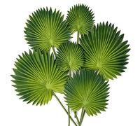 Briful 2-Pack Artificial Palm Leaves Stems, 6PCS Fake Plants Green Palm Leaf Stem Decorative Artificial Plants for Centerpieces, Cake Arrangements, Home Kitchen Decor