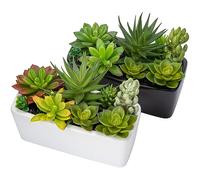 Briful 2 Packs Artificial Succulent Plants Faux Succulents in Ceramic Pots, Fake Plants Artificial Succulents Potting Mix, Fake Plant in Pot for Office Home Bathroom Shelf Decor