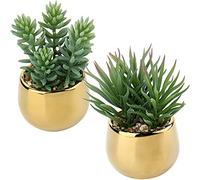 Briful 2 PCS Fake Plants Artificial Succulent Plants - Faux Succulents in Geometric Gold Ceramic Pots - Fake Succulent Indoor Plant for Home Office Bathroom Bedroom Decor