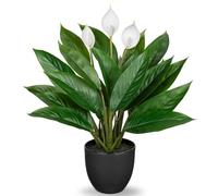 Briful 20" Tall Artificial Plants in Pot Anthurium Fake Plants, Decorative Artificial Plant Calathea Bushy with 22 Leaves in Plastic Pot for Home Bathroom Decor, Height 51CM, White Green