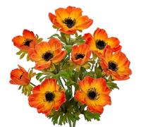 Briful 21.7"/55cm Artificial Anemone Flowers Spray with 3 Blossoms, 3PCS Orange Artificial Flowers for Decoration Large Silk Flowers Anemones Fake Flowers Indoor for Home Office Decor