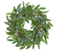 Briful 24" Door Wreath Artificial Eucalyptus Wreath with Seeded Branches - Faux Greenery Artificial Figs Summer Wreath for Front Door - Fake Plants Decorative Wreath for Wall Window Decor