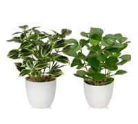 Briful 2PCS Small Fake Plants Artificial Greenery Artificial Plants Indoor in Pot, Faux Potted Plant Artificial Desk Plant for Farmhouse Home Garden Shelf Decor