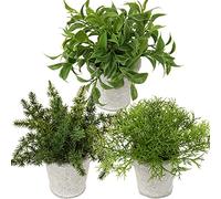 Briful 3 Packs Small Artificial Fern Plants Fake Plants in Cement Pots, Decorative Artificial Plants Rosemary Artificial Grass for Bathroom Shelf Bedroom Home Decoration