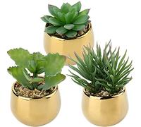 Briful 3 PCS Artificial Plants Fake Succulent Plants Artificial Succulents in Geometric Gold Ceramic Pots, Fake Succulent Indoor Plants for Home Office Bathroom Shelf Decor