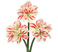 Briful 3PCS Amaryllis Artificial Flowers 17.3 Inch Faux Amaryllis Flowers Stems with 4 Heads Silk Floral Bouquet for Home Room Table Centerpiece Wedding Party Arrangements(Red/White)