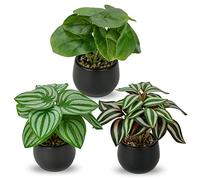 Briful 3PCS Fake Plants Potted Artificial Plants Mini Faux Plants in Black Ceramic Pots Greenery Décor for Home Office Table Room Farmhouse Indoor Decoration