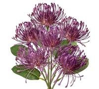 Briful 6 Pcs Artificial Chrysanthemum Flowers Purple Spider Mom Fake Flowers for Mom Flower Arrangement Wedding Bouquet Home Bathroom Decor