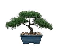 Briful 9.8" Artificial Bonsai Tree Fake Plants Cedar Bonsai Decoration, Artificial Plants Indoor in Ceramic Pot Faux Pine Plant for Home Office Table Decoration