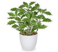 Briful 9.8" Small Fake Plants Artificial Holly Plants Indoor in Pot, 25cm Artificial Greenery Holly Leaf Decorative Artificial Plants for Farmhouse Home Garden Party Decoration
