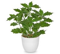 Briful 9.8" Small Fake Plants Artificial Holly Plants Indoor in Pot, 25cm Artificial Greenery Holly Leaf Decorative Artificial Plants for Farmhouse Home Garden Party Decoration