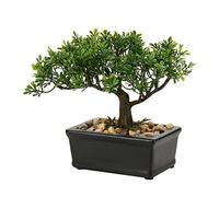 Briful Artificial Bonsai Tree, Japanese Cedar, Green Ficus, 6.5" H x 7.08" W, Decor