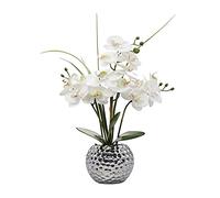 Briful Artificial Flowers Orchid Artificial Plant Phalaenopsis Flowers Decoration Height 49 cm Firmly Anchored in Ceramic Pot (White - Silk)
