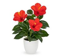 Briful Artificial Hibiscus Flowers in Pot, 14.5’’ Faux Hibiscus Plant, Spring Summer Flowers for Home Decor, Farmhouse Table Decor & Coffee Table Decor, Indoor Potted Floral Arrangement, Red