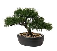 Briful, Artificial Juniper Bonsai Artificial Plant Indoor Decoration with Ceramic Pot for Home Table Office Desk Bathroom Shelf Bedroom Living Room Decor