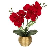 Briful Artificial Orchid Plants Red Velvet Silk Flowers - Artificial Phalaenopsis Stems in Gold Ceramic Pot - Fake Orchid Flowers for Home Decor Wedding Table Centerpieces
