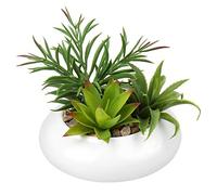 Briful Artificial Succulent Plants Fake Plants in Round Ceramic Pot Faux Potted Plant Fake Succulents Arrangement Artificial Plants Indoor for Office Desk Decor Decorative Home Accessories