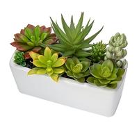 Briful Artificial Succulent Plants Faux Succulents in White Ceramic Pot, Fake Plants Artificial Succulents Potting Mix, Fake Plant in Pot for Office Home Bathroom Shelf Decor