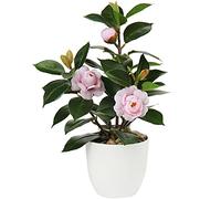 Briful Camellia Artificial Plant Fake Plants in Pot Faux Camellia Flower Artificial Potted Plants for Home Decor, 11"/28cm Pink Artificial Flowers Faux Green Plants for Living Room Desk Decor