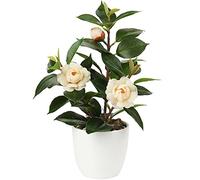 Briful Camellia Artificial Plant Fake Plants in Pot Faux Camellia Flower Artificial Potted Plants for Home Decor, 11"/28cm Yellow Artificial Flowers Faux Green Plants for Living Room Desk Decor