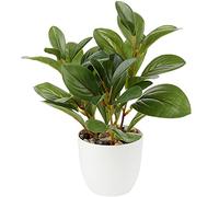 Briful Camellia Artificial Plant Fake Plants in Pot Faux Camellia Plants Artificial Potted Plants for Home Decor, 11"/28cm Faux Green Plants Artificial Bonsai for Living Room Shelf Desk Decor