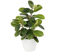 Briful Camellia Artificial Plant Fake Plants in Pot Faux Camellia Plants Artificial Potted Plants for Home Decor, 11"/28cm Faux Green Plants Camellia Bonsai for Living Room Shelf Desk Decor