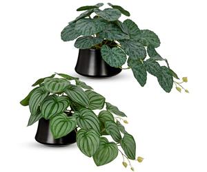 Briful Fake Plants in Ceramic Pot - Set of 2 Artificial Watermelon Peperomia & Textured Leaf Plants in Black Pots, Small Hanging Plants Faux Indoor Plant for Shelf Bathroom Bedroom Home Décor
