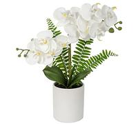 Briful White Orchid Artificial Flowers in Ceramic Pot - Fake Orchid White Silk Phalaenopsis Flower Arrangement - Artificial Orchid Plant Indoor for Home Office Kitchen Bedroom Wedding Decor
