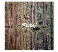 Brigades - Crocodile Tears