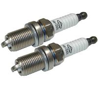 Briggs and Stratton 2 Pack Of Genuine OEM Replacement Spark Plugs # 491055-2PK