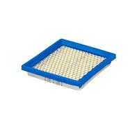 Briggs and Stratton Genuine 399877S Air Filter Cartridge