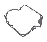 Briggs and Stratton Genuine 697110 Crankcase Gasket