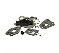 Briggs and Stratton Genuine 792383 Carburetor Overhaul Kit