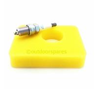 Briggs and Stratton Lawn Mower Service Kit Suitable for 450E, 500E, 550E, 550EX