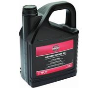 Briggs & Stratton 100009E 4-Stroke Summer Motor Oil SAE 30 5 Litre, Black