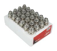 Briggs & Stratton 992301C Spark Plugs - 24 Pack